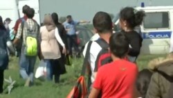 Xorvatiyadan miqrantlara humanst jest