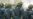 Russian Officials To Face Suit Over Theater Hostage Incident