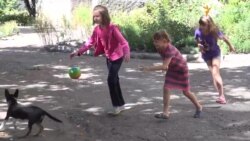 Шкільний підвал врятував близько півсотні учнів та вчителів школи у Новотошківці