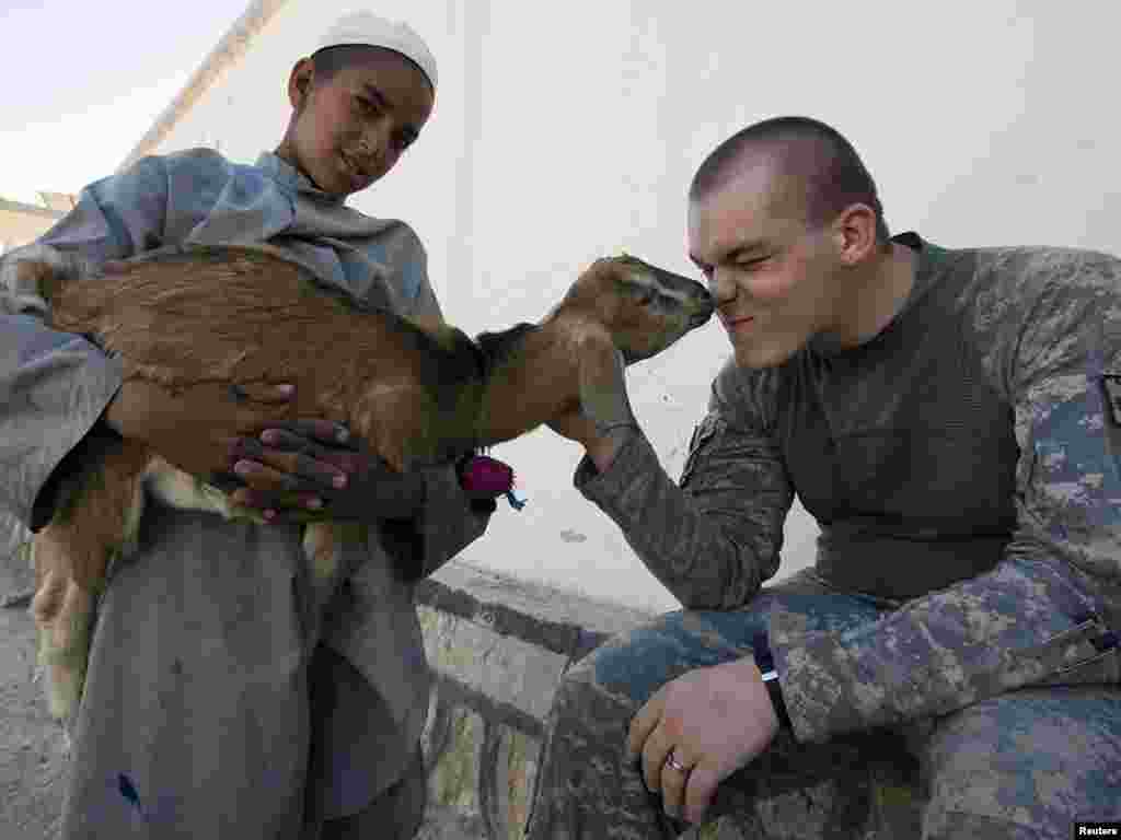 U.S. Army soldier Christopher Steiner plays with a goat brought by an Afghan boy near a police station in Kandahar. - Photo by Shamil Zhumatov of Reuters