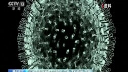 Азия: борьба с китайским вирусом