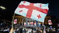 29 апреля, митинг «Грузинской мечты» у здания парламента Грузии
