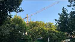Подъемный кран на стройплощадке фирмы «Консоль» (вид со стороны улицы Гоголя), Севастополь, 18 августа 2021 года