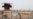 U.S. Disciplined Over 100 For Prisoner Abuse
