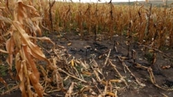Another Russian Drone Crashed In Northern Moldova