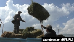 «Խոտը խոտ չէ, հազիվ կհերիքի»,- դժգոհում են Մեծ Պարնիի բնակիչները 