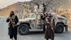 Пакистан "ачык согуш" жарыялап, "Талибанды" бутага алды 