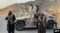 نیروهای طالبان 