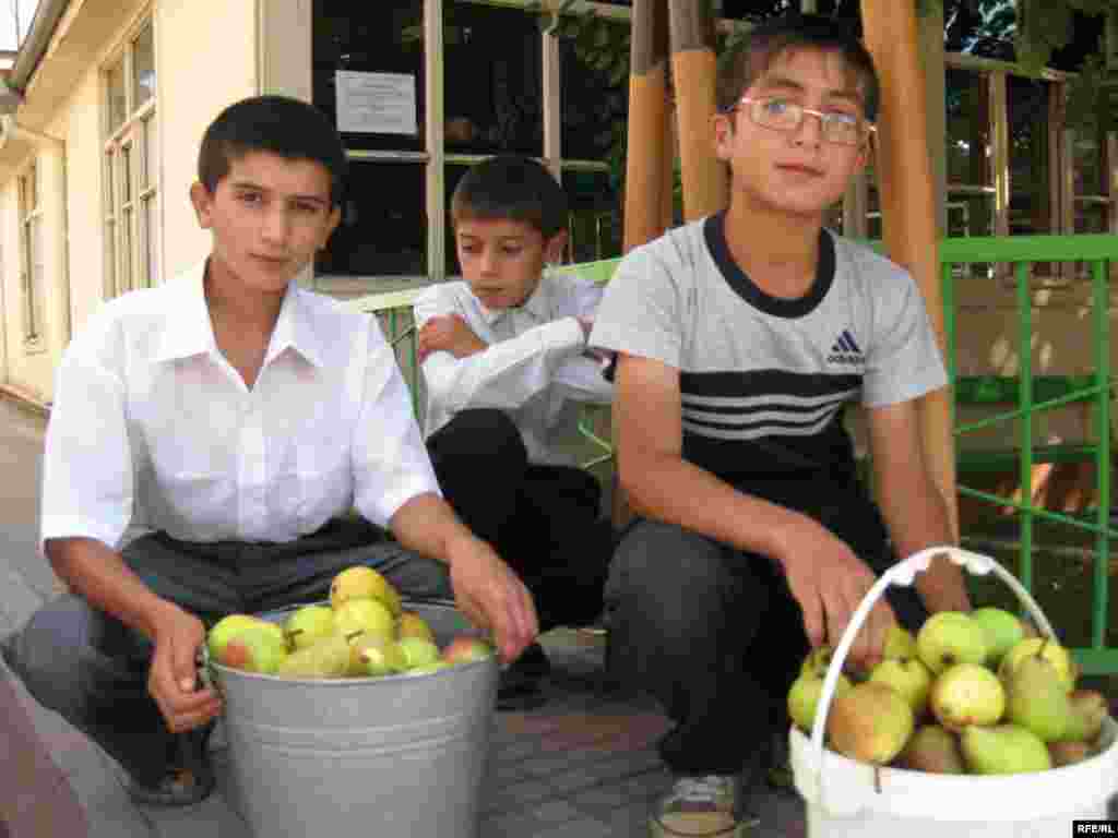 Qubanın Qırmızı qəzəbəsi #35