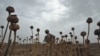 No Poppies In Over 17 Afghan Provinces