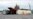 Worker Missing As Dry Dock Sinks, Damaging Russia's Only Aircraft Carrier