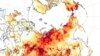 گرما و آتش در سیبری، «فریاد هشداری» به جهانیان