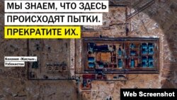 Amnesty International құқық қорғау ұйымының Өзбекстандағы азаптауға қарсы кампаниясы (Көрнекі сурет).