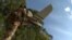UKRAINE - DRONE - FURIA - CURRENT TIME
