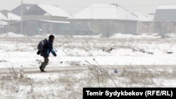 Иллюстрациялык сүрөт.