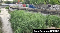 Малый Салгир является одним из главных притоков Салгира – крупнейшей реки Крыма Азовского бассейна, впадает в Салгир в районе Гагаринского парка в Симферополе