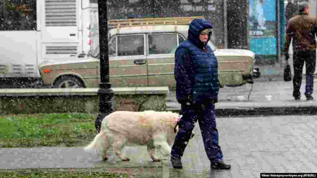 Женщина с собакой на прогулке в парке