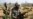 Pakistan Recalls Envoy From India Amid Rising Tensions