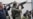 Ukraine Says Forces 'On Full Combat Alert'