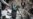 Facebook Shows Off Its Good Side In Aftermath Of Iranian Quakes