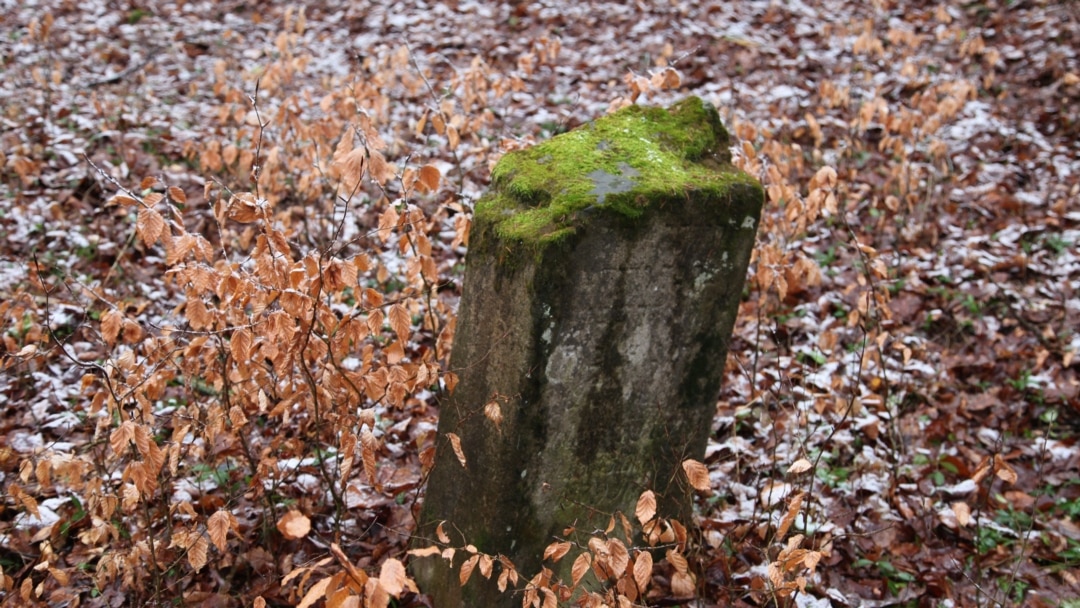 Loc de veci îngrijit cu MemorialClean™