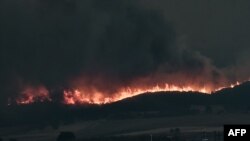 Лісові пожежі спалахнули у Греції внаслідок посухи та аномально високих температур