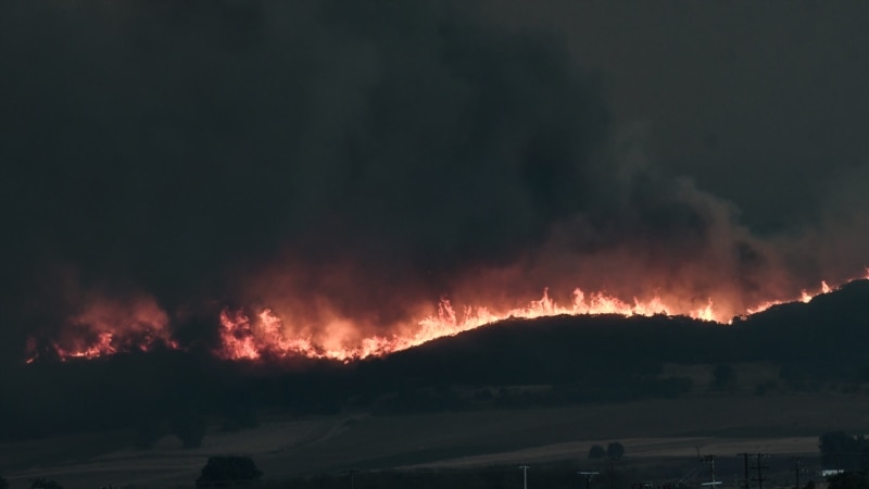 Greqi: 18 të vdekur në një pyll të përfshirë nga zjarri