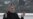 Karzai Faults U.S. Over Shooting Probe