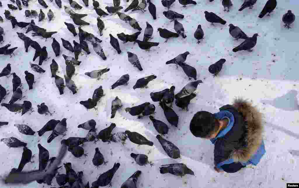 A boy feeds pigeons in a park in Almaty, Kazakhstan. (Reuters/Shamil Zhumatov)