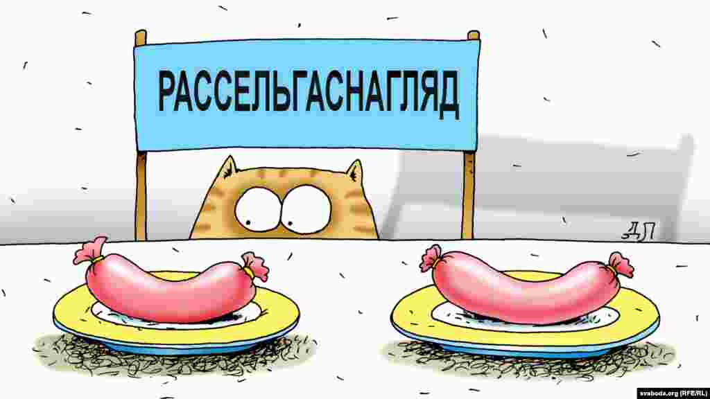 Рассельгаснагляд дазволіў Жлобінскаму і Калінкавіцкаму мясакамбінатам аднавіць пастаўкі сваёй прадукцыі у Расею.