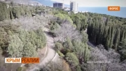 В Форосе уничтожают парк: столетние деревья идут под бульдозер | Крым.Реалии ТВ (видео)