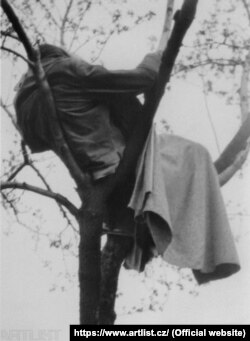 "Сон на дереве", 1975