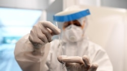 Testiranje na prisutnost COVID-a 19, Njemačka