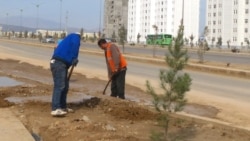 Aşgabatly bagbanlara öz hasaplaryna bir aý dynç almaly boljagy duýdurylýar