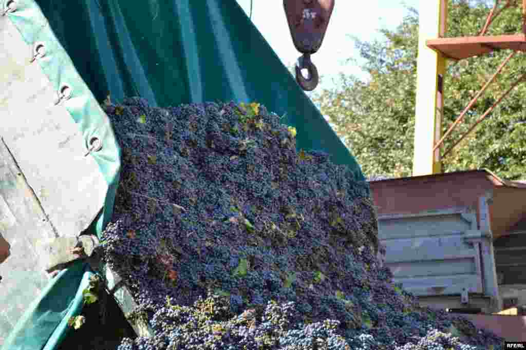 Prețuri mici, probleme mari #6