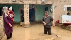 سېلونو کې زیانمن شوي افغان ملکیان 