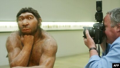 Адамдардағы копуляция Адамдардағы копуляция