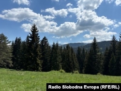 Igman, Bosna i Hercegovina, maj 2026.