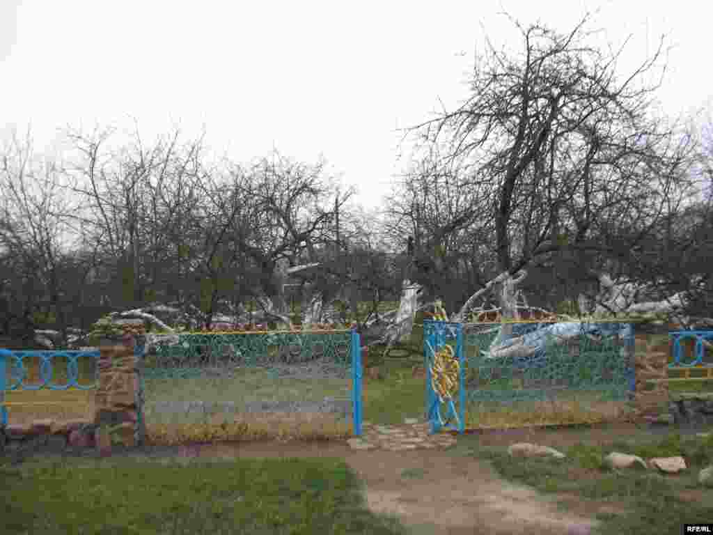 Яблуневий кущ займає територію 10 соток. Дослідники кажуть, що це 5-6-те покоління дерева-куща