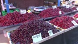 Как отличаются цены на фрукты в Крыму и на Херсонщине? (видео)