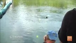 Двое американских ученых провели под водой 73 дня и побили мировой рекорд