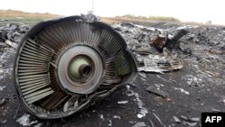 Debris from Malaysia Airlines Flight 17 is seen at the crash site in the village of Hrabove (Grabovo), some 80 kilometers east of Donetsk. 