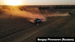 Combines harvest wheat in a field near the village of Nedvigovka in Russia's Rostov region.