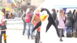 Регіонали вітають жінок підписами і пінгвінами