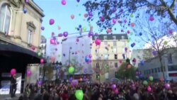 У паризьке небо злетіло 130 кульок в пам’ять про жертви атак у Парижі – відео