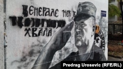 Several efforts have been made to remove a mural depicting wartime Bosnian Serb leader and convicted war criminal Ratko Mladic in Belgrade. 