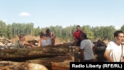 Защитникам леса не удалось предотвратить вырубку