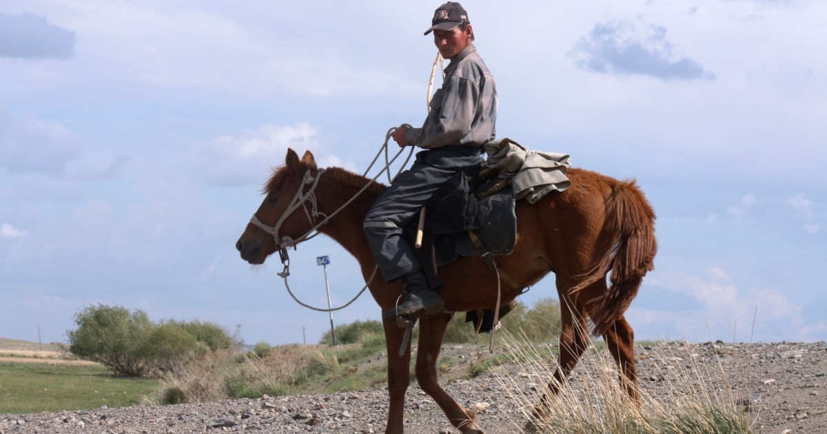 Жағажайдағы жалаңаш маймылдар тобы