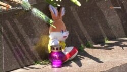 У посольства Франции в Украине возложили цветы из-за трагедии в Ницце (видео)