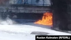 Иллюстрациялык сүрөт.